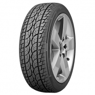 255/55R19 SP9 SUV HT (TAIWAN)